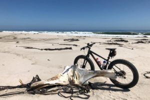 WhatsApp Image 2020-03-12 at 3.03.14 PM