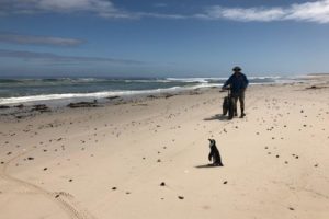 WhatsApp Image 2020-03-13 at 1.32.29 PM